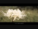 彼岸花の枯れる頃に。 / Replay