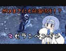 つづみの10秒おさかな解説#44 マゼランペンギン