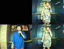 SCARLET KNIGHT／水樹奈々