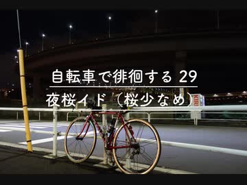自転車で徘徊する 29　〜夜桜イド（桜少なめ）〜