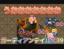 ガーディアンテイルズ39