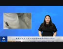 アメリカのフェンタニル流行は中国共産党のせいである