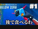 【Subnautica:BelowZero】ビロウゼロをやろうゼロ(1)