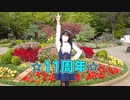 【那南架】はじまりエール　踊ってみた【11周年】