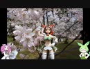 アクティビティのゆっくり（猫）ゆるポタ道中Part21　ロードバイクで行くお花見ライド（分水さくら公園・加治川桜堤・大峰山さくら公園）
