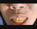 ニンポー（千代豊和）　もういい