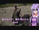 【Dragon's Dogma2】結月ゆかり、胸を奪われる part9【A.I.VOICE】