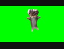 【猫ミーム】チッピー猫　GB素材(chippy cat green screen)