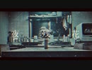 夜残花/flower