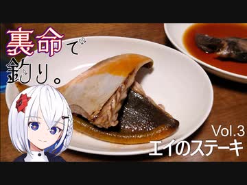 裏命で釣り。Vol.3「エイのステーキ」