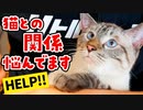 実は、猫のデュフィのことで最近悩んでいます…