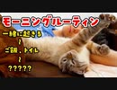 【神回】猫のモーニングルーティンにこの世のかわいさの全てが詰まっていました