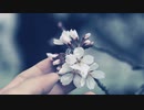 まつり.1st.album『記憶の輪郭』XFD