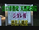 山口市　徳佐八幡宮！