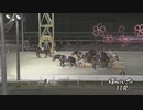 2024年4月20日帯広競馬11R ドラゴンクエストウォーク記念 スラミチチャンピオンシップ(A2-1) ダイヤカツヒメ
