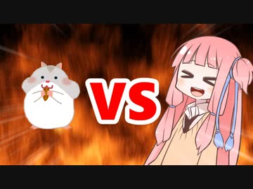 茜ちゃんVSハムスター