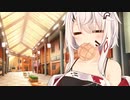 ノイズフィーちゃんと銭湯