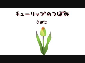 チューリップのつぼみ／可不
