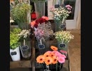 Le Bouquet Floral – Flowers Delivery Calgary
