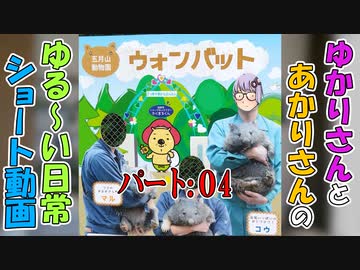 【VOICEROID劇場】結月さん映画を鑑賞する　番外編　ゆかりさんの日常　パート４