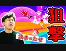 サバイバルシャッフルでたくさん落としました!【フォールガイズ】