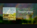 【M3-2024春】Sleepimgtrees - Everything【B-12b】