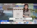 【魚住茉由】ラッコ好きまゆちゃんのラッコのコーナー