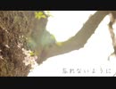 忘れないように ／ yozora.s × 雪鳩