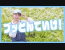 【踊オフ2024】ブッとんでいけ！踊ってみた【神風紫】