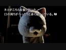 実写サウンドノベル最高傑作【428~封鎖された渋谷で~】実況 part31
