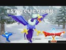 【初見実況】出会ったモンスターのドット絵を描くドラクエXオフライン#57 ランガーオ村探索