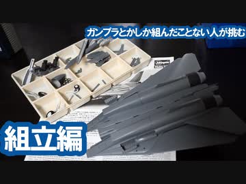 ガンプラとかしか組んだこと無い人が挑む本格プラモ 組立編 / ハセガワ F-14A トムキャット (ロービジ) [VOICEROID]