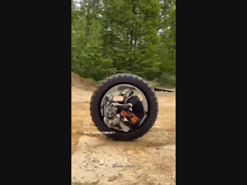 ホモと見るタイヤ型バイク