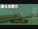 #29【ゼルダの伝説 ティアーズ オブ ザ キングダム】標高1000メートル超えで震える寒さ！
