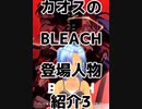 カオスのBLEACH登場人物紹介3