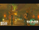 【ゼルダの伝説 Tears of the Kingdom】誰かいませんかー！？【実況】#58