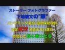 【更新版】ストーリー•フォトグラファー  下地敏文の"眼"  「パンデミック条約 国際保健規則改定反対 池袋デモ行進に参加した我ら戦士たち」　2024/4/13 （土）