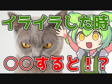【ずんだもん解説】簡単に怒りを静める方法はたったこれだけ！？ストレスをなくす方法について解説！