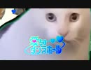 【愛包ダンスホール】愛猫ダンスボーイ【猫ミームMAD・音ハメ】