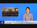 中共 税金還付補助金を通じて米国でのフェンタニル危機から直接利益 (1/2)