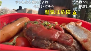 マユちゃんが外配信でお弁当食べたよ＆ねうちゃんが凸してくれたよ【オオマユ・ニコ生】