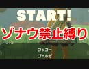 ゾナウ禁止縛りpart25【ティアキン/制限プレイ/ゼルダの伝説ティアーズオブザキングダム】