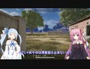 チキンな葵のPUBG#16