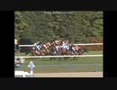 2007 天皇賞（春）(GI)　メイショウサムソン