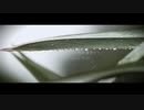 干ししいたけ - 声が出せなくても(feat.重音テトSV)