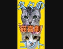 CreepyNutsのBBBBを語る!!