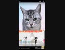 Da-iCEの新曲は◯◯に似てる!!
