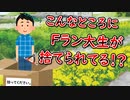 第94位：なんで？こんな所にFラン大生が！？□