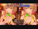 バニーガーデン　Steam版とSwitch版を比較