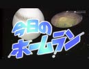 【第17回ANIMAAAD祭】今日のホームラン